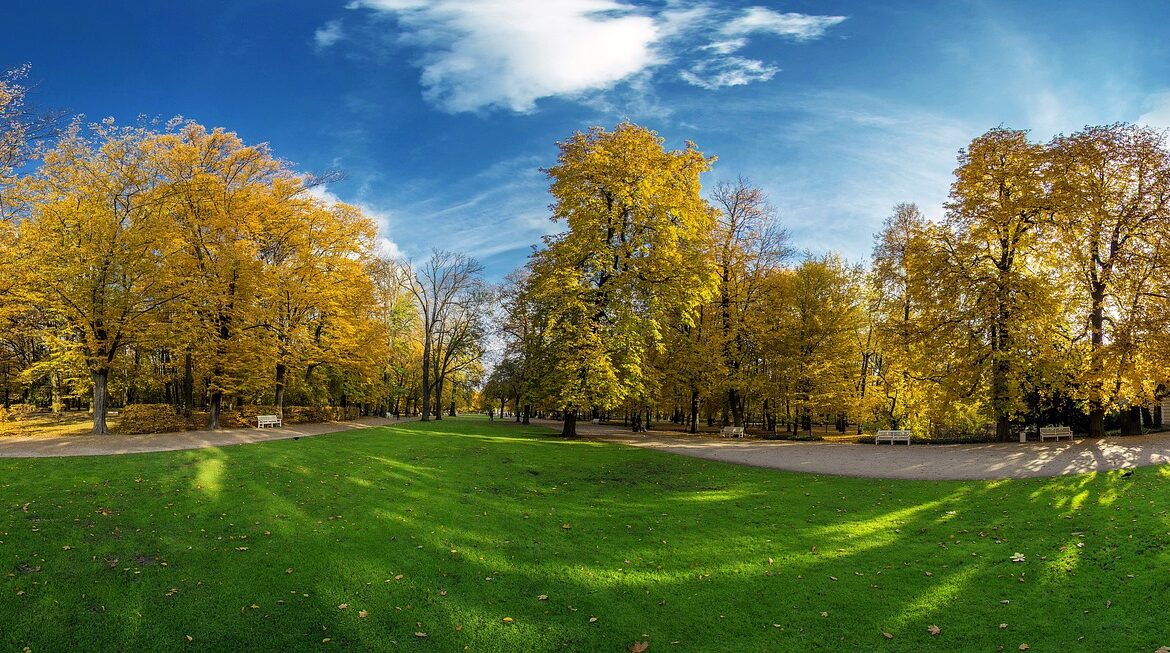 5 Tips for Fall Lawn Care Maintenance